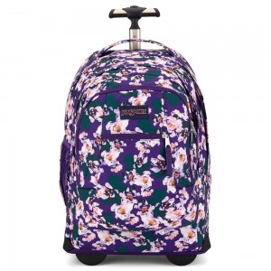 JanSport Driver 8 バックパック ローリングバックパック 紫 | JPIIZ41011