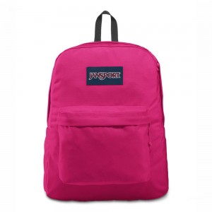 JanSport SuperBreak® Plus バックパック ラップトップ バックパック 紫 | AJPDF41663