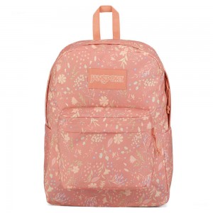 JanSport SuperBreak® Plus バックパック ラップトップ バックパック ピンク | BJPSO98143