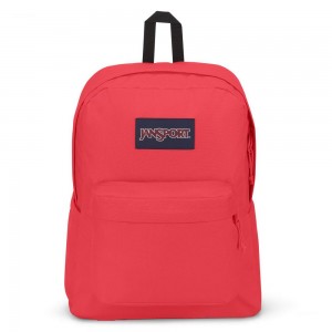 JanSport SuperBreak® Plus バックパック ラップトップ バックパック ピンク | JPCIF86183