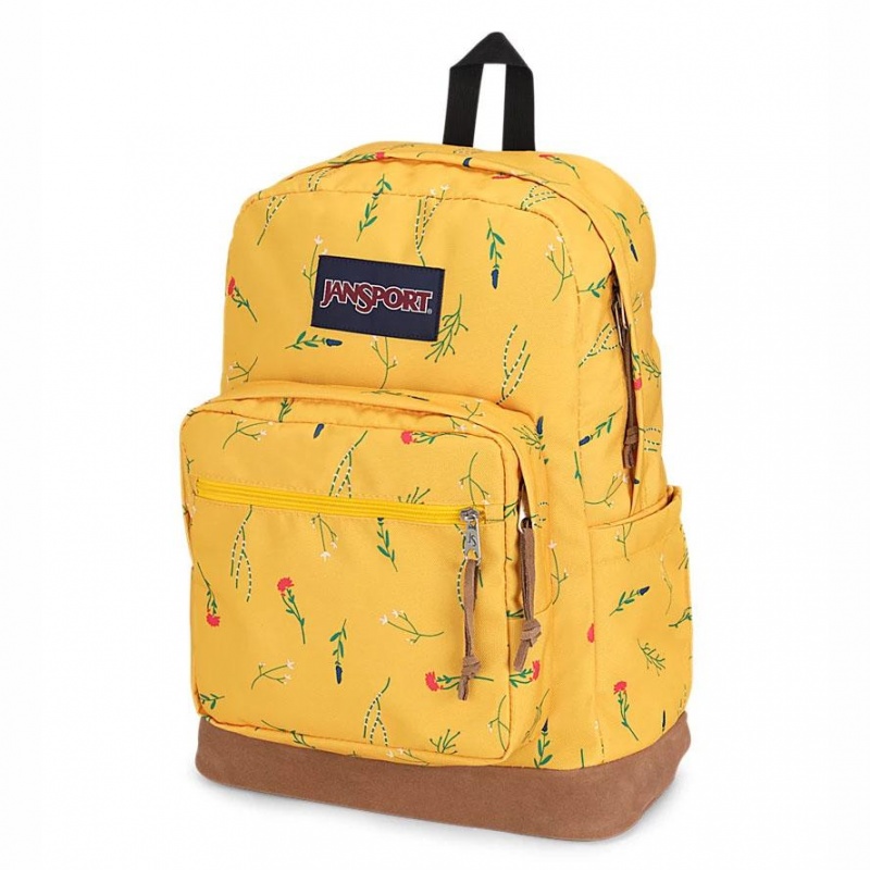 JanSport Right Pack バックパック ラップトップ バックパック 黄色 | JPDYB88618