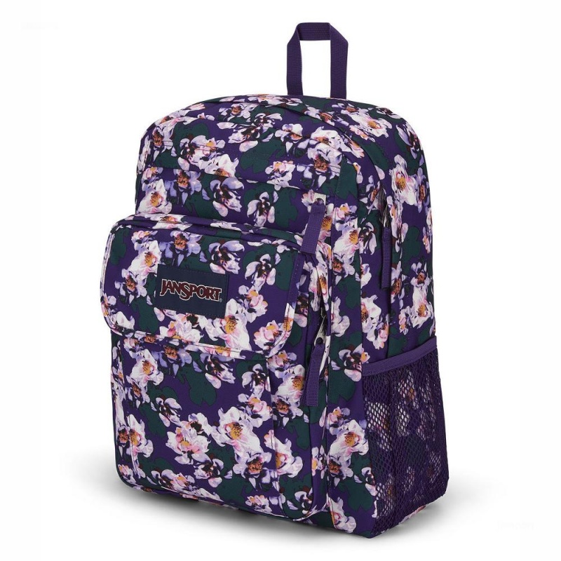 JanSport UNION PACK バックパック ラップトップ バックパック 紫 | JPQCS49314