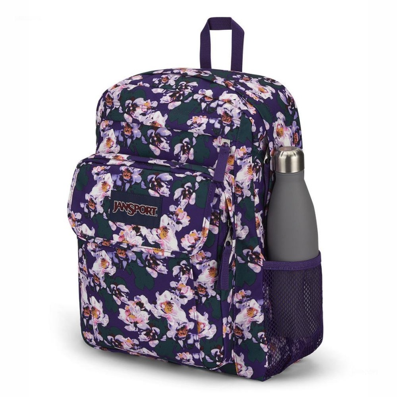 JanSport UNION PACK バックパック ラップトップ バックパック 紫 | JPQCS49314